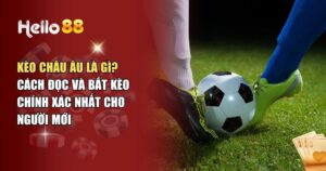 Kèo Châu Âu Là gì? Cách Đọc Và Bắt Kèo Chính Xác Nhất Cho Người Mới