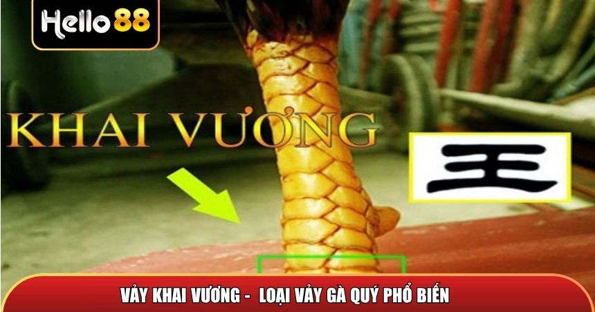 Vảy khai vương là top vảy gà quý